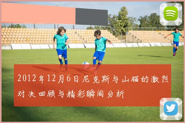 2012年12月6日尼克斯与山猫的激烈对决回顾与精彩瞬间分析