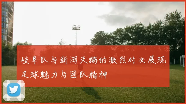 岐阜队与新泻天鹅的激烈对决展现足球魅力与团队精神