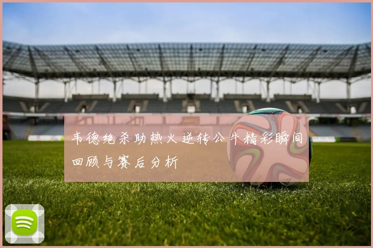 韦德绝杀助热火逆转公牛精彩瞬间回顾与赛后分析