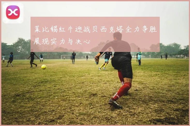 莱比锡红牛迎战贝西克塔全力争胜展现实力与决心
