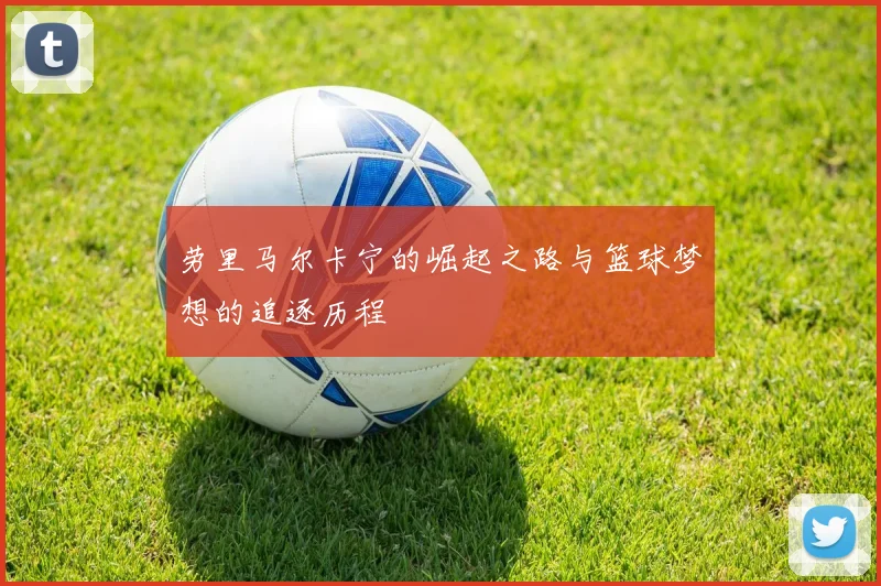 劳里马尔卡宁的崛起之路与篮球梦想的追逐历程