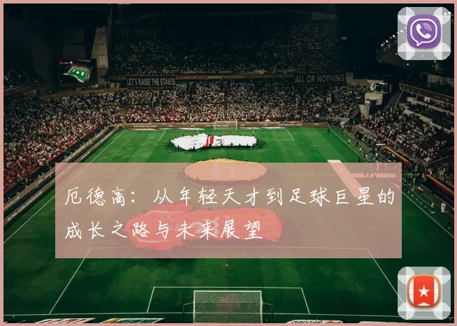 厄德高：从年轻天才到足球巨星的成长之路与未来展望