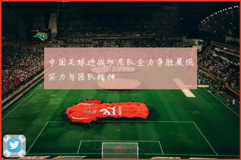 中国足球迎战印尼队全力争胜展现实力与团队精神