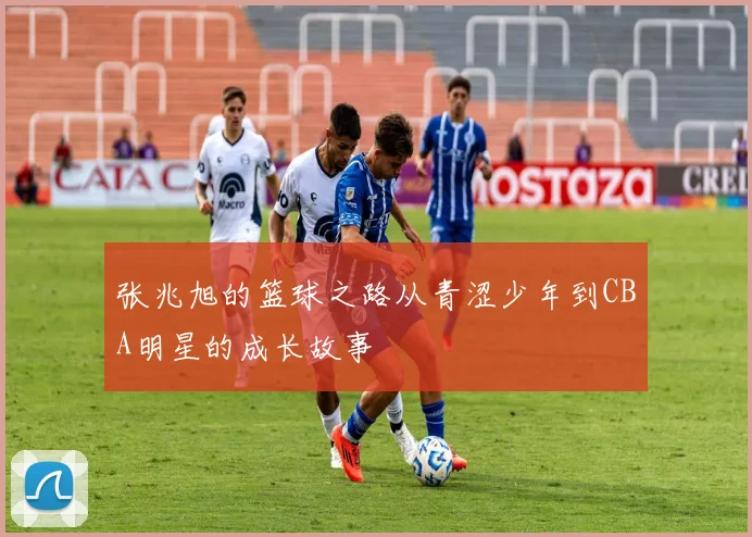 张兆旭的篮球之路从青涩少年到CBA明星的成长故事