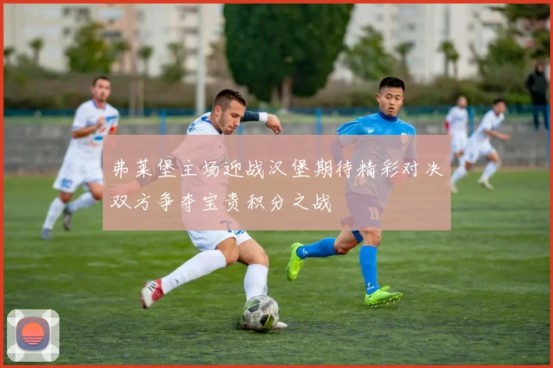 弗莱堡主场迎战汉堡期待精彩对决双方争夺宝贵积分之战