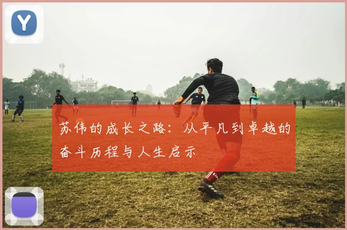 苏伟的成长之路：从平凡到卓越的奋斗历程与人生启示