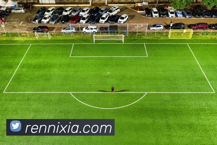 bevictor伟德平台生态图